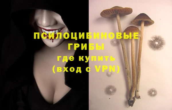 амф Алексеевка