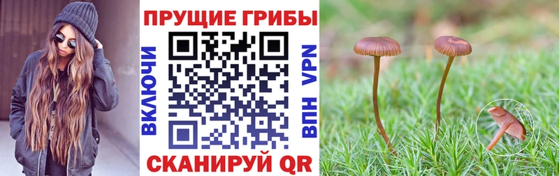 Галлюциногенные грибы Magic Shrooms  Асино 